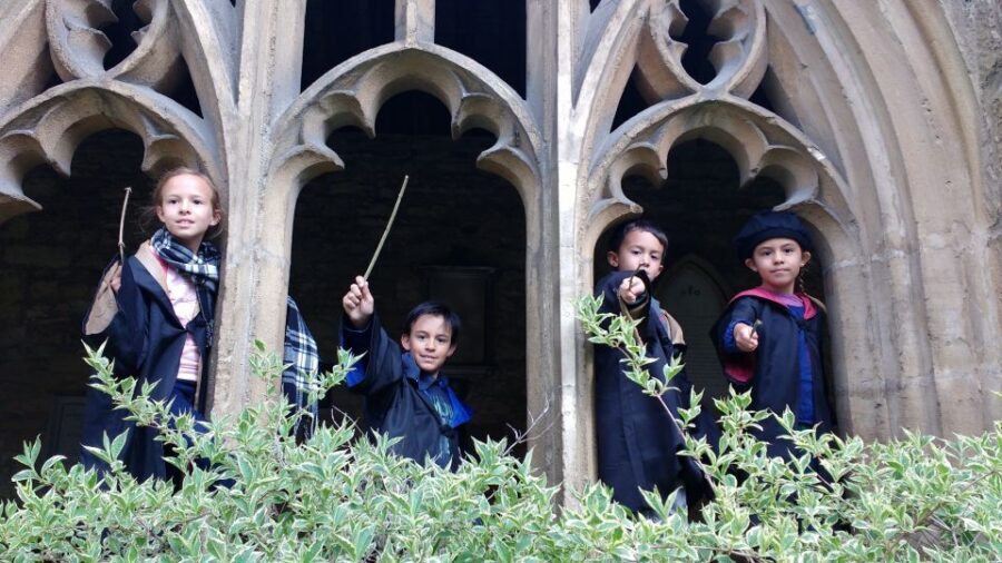 Oxford: Harry Potter Insights Divinity School Group Tour - Rowling’s Oxford: Nearly Headless Nick and Knockturn Alley vibes