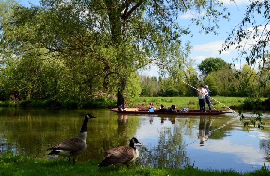 Oxford: Official University and City Walking Tour - Who Should Book This Walking Tour (and Who Might Skip It)