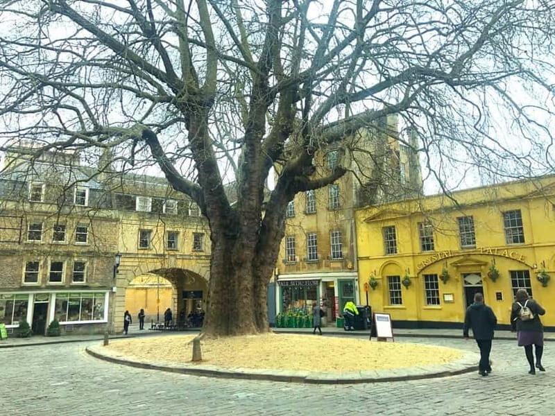 Stonehenge, Bath, Windsor and Roman Baths London Day Tours - Windsor Castle Option: Royal Power in Real Time