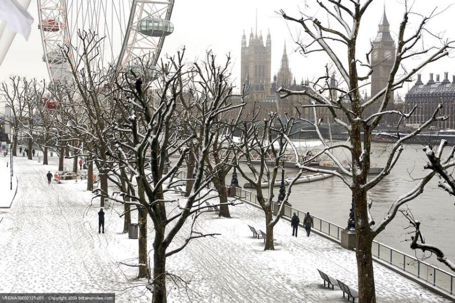 Tour of London and Christmas Day Lunch Cruise - The guide and onboard atmosphere: when energy becomes the value