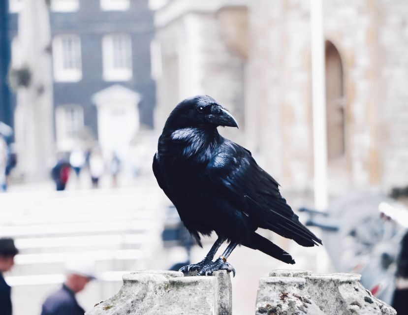 Tower of London Private Tour - Where Anne Boleyn and Other Stories Fit