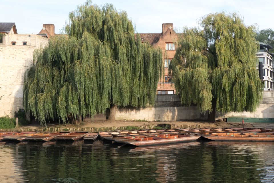 Cambridge: Punting Tour on the River Cam - Price and value: what you’re paying for (and what you’re not)