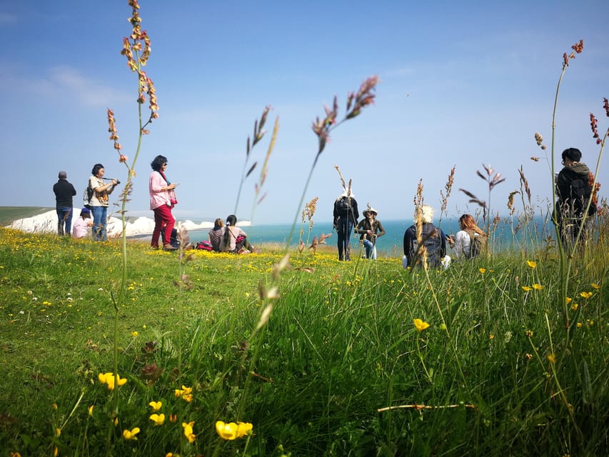 From London: Seven Sisters and Brighton Full-Day Tour - Key highlights at a glance