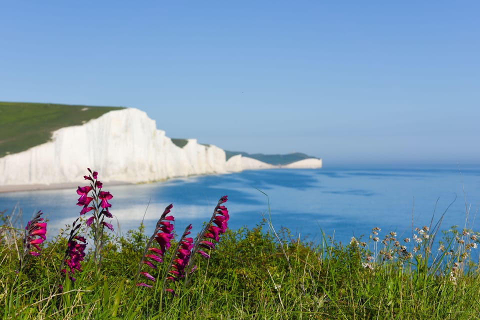 From London: Seven Sisters and Brighton Full-Day Tour - London Bridge to Brighton: the easy rail start