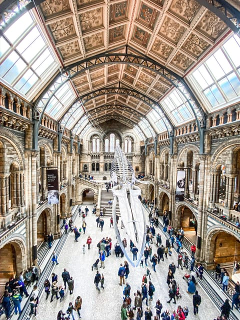 London: Natural History Museum Guided Tour - Key highlights to look for