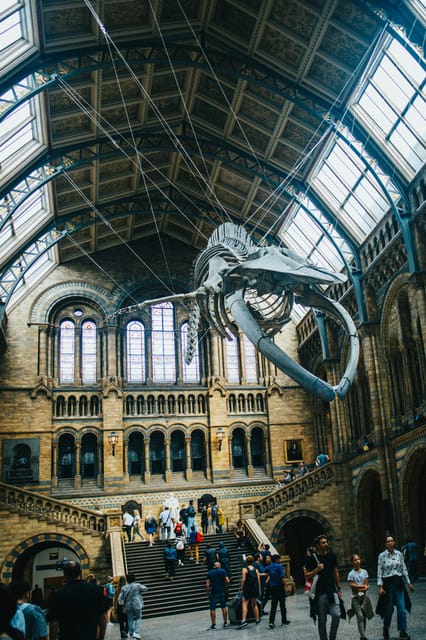 London: Natural History Museum Guided Tour - First stop: getting in smoothly at the Natural History Museum