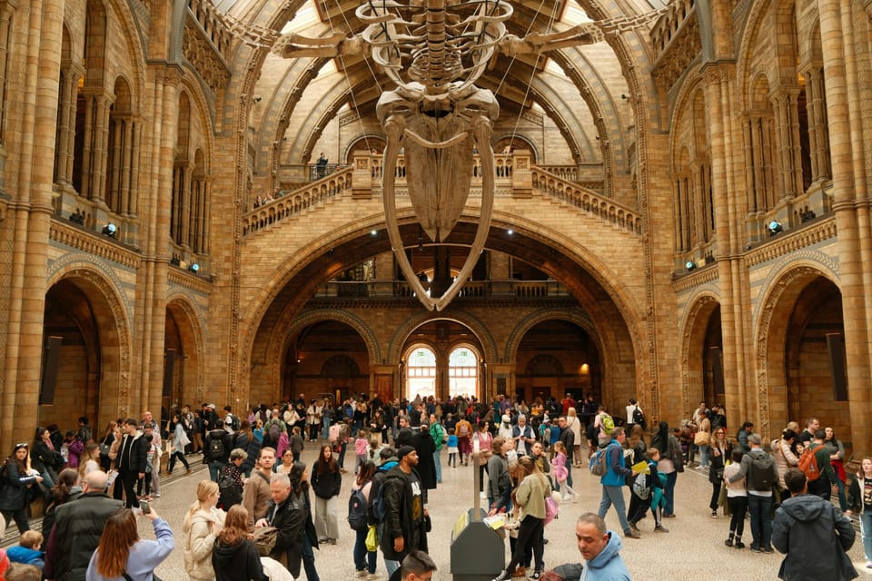 London: Natural History Museum Guided Tour - Dodo and Archeopteryx: evolution as a physical tour, not just a theory