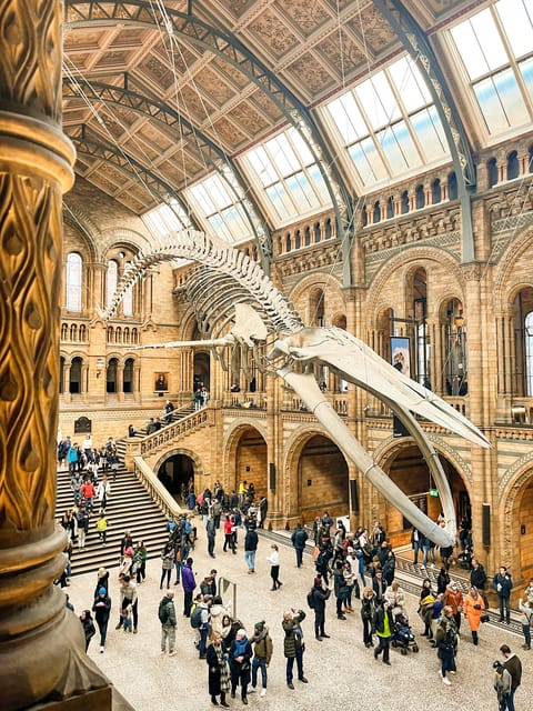London: Natural History Museum Guided Tour - Sophie the Stegosaurus: the moment your attention locks in