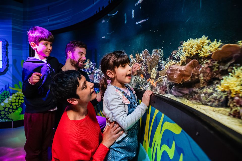 London: SEA LIFE Entry Ticket - Who this fits best (and who might want to think twice)