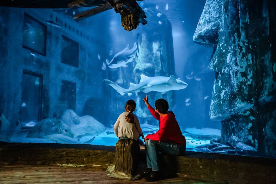 London: SEA LIFE Entry Ticket - SEA LIFE London Aquarium: a full-on animal day in the city