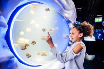 London: SEA LIFE Entry Ticket - Timed entry and how to plan your route through the three floors