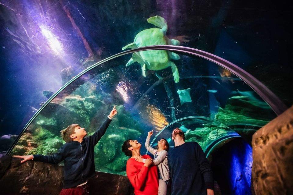 London: SEA LIFE Entry Ticket - Price and value: is $37 worth it for a one-day aquarium?