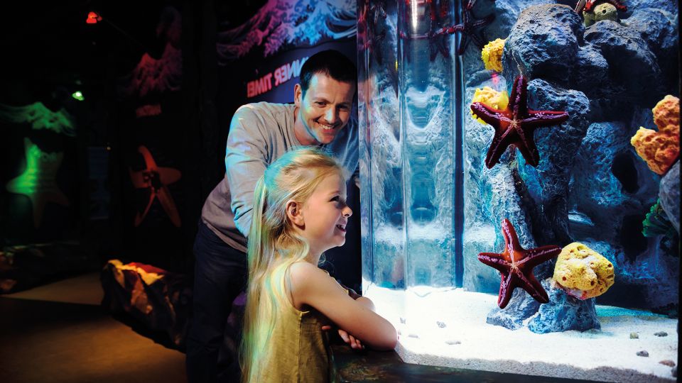 London: SEA LIFE & London Eye Combo Ticket - Who this combo is best for (and who might not love it)