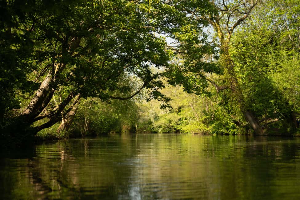 Oxford: Punting Tour on the River Cherwell - Included extras vs. what costs extra (so you can plan without surprises)