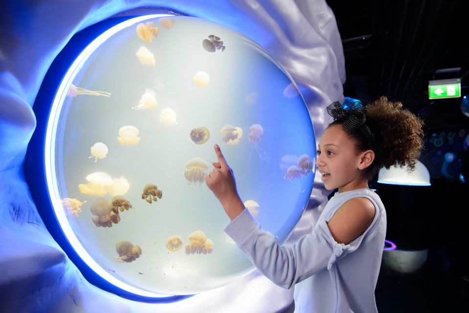 SEA LIFE London & DreamWorks Shrek's Adventure: Combo Ticket - How the 90-day combo and separate time slots actually play out
